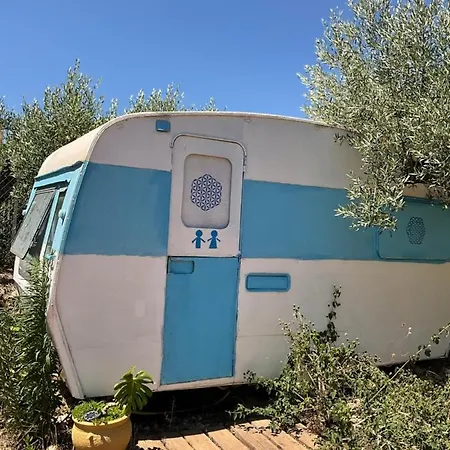 Yurta Bora Bora Luxury tent