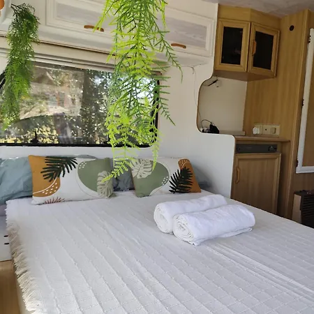 Yurta Bora Bora *