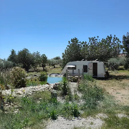Yurta Bora Bora Luxussátor *